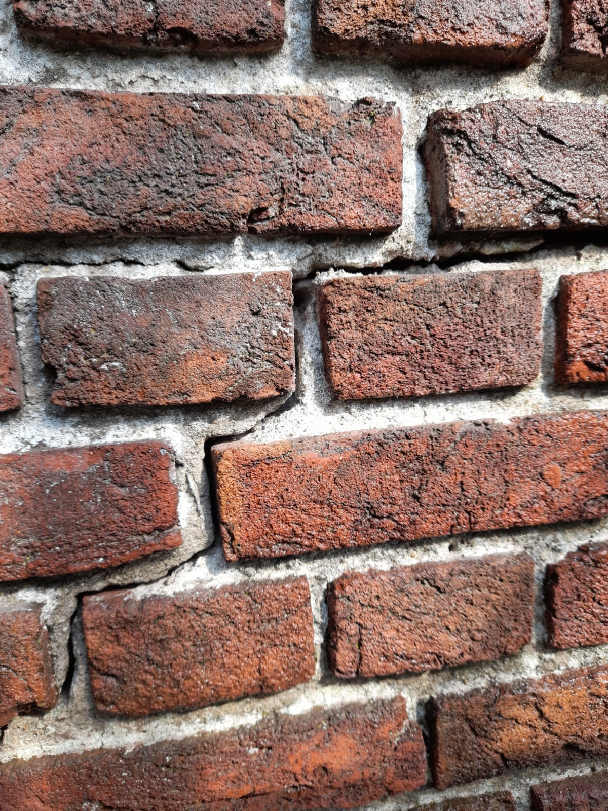 Buitengevel reinigen en sauzen Aerdenhout 6 svg%3E