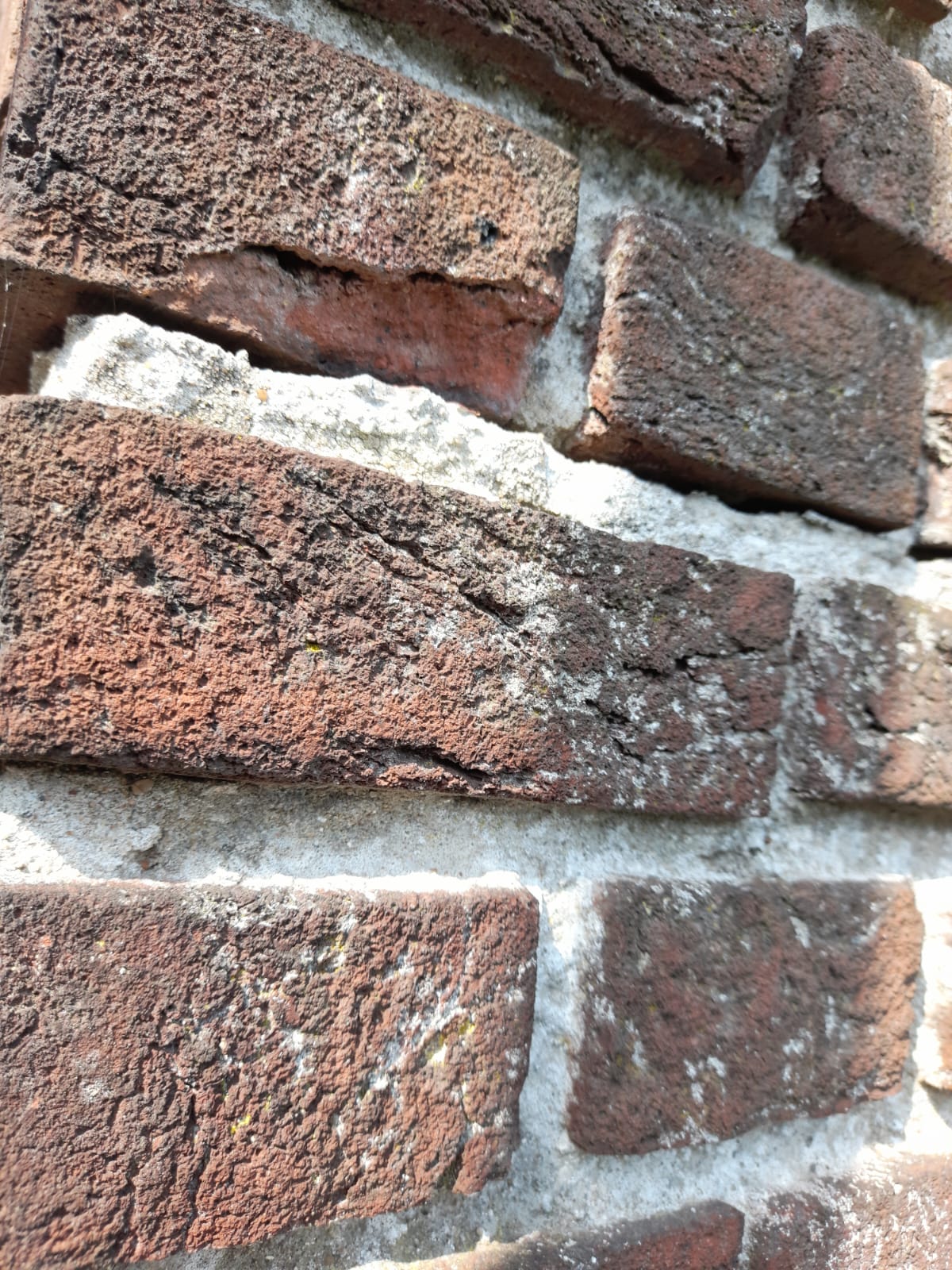 Buitengevel reinigen en sauzen Aerdenhout 8 svg%3E