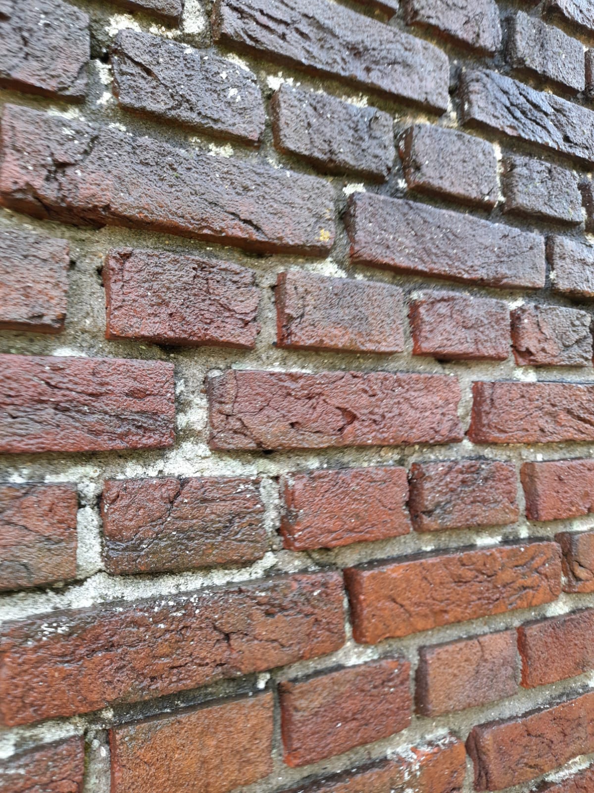 Buitengevel reinigen en sauzen Aerdenhout 7 svg%3E