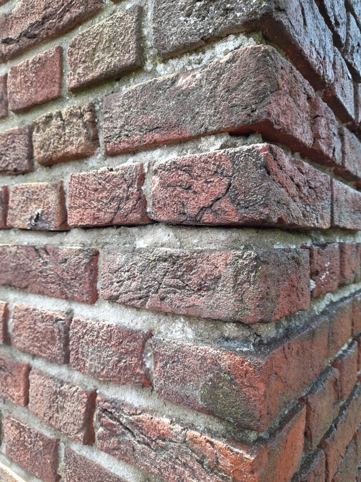 Buitengevel reinigen en sauzen Aerdenhout 13 svg%3E