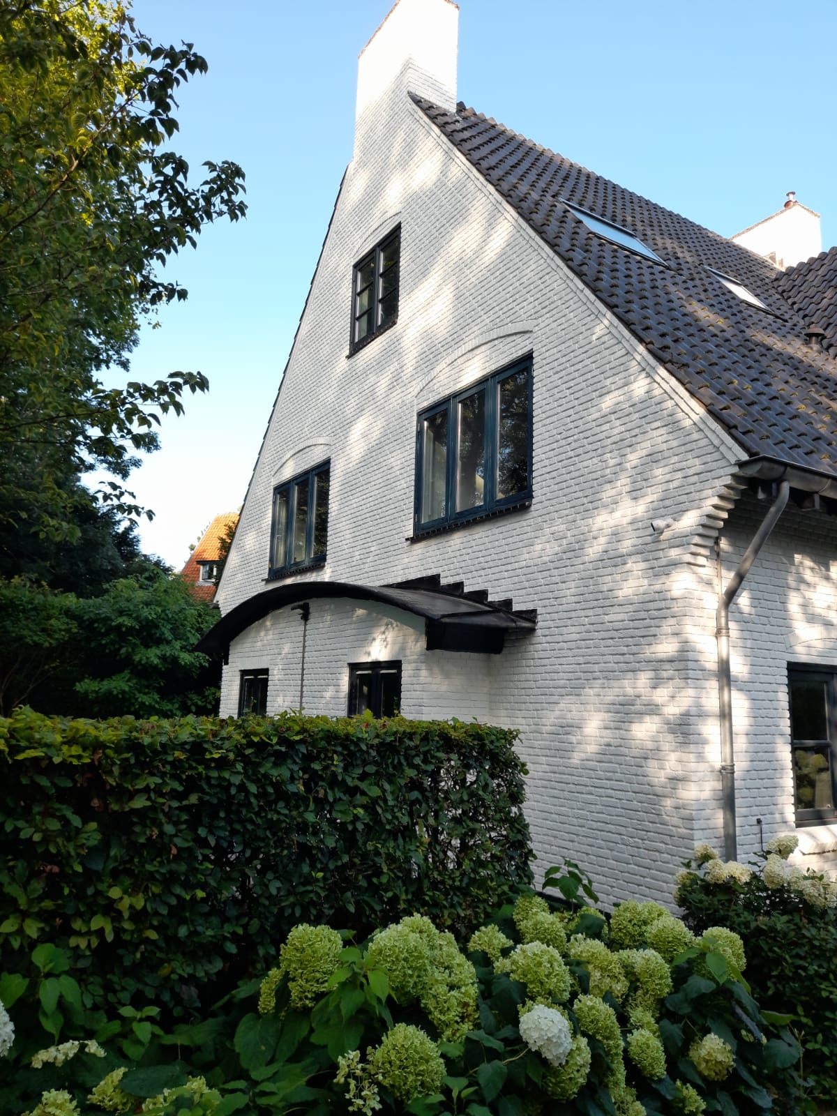 Buitengevel reinigen en sauzen Aerdenhout